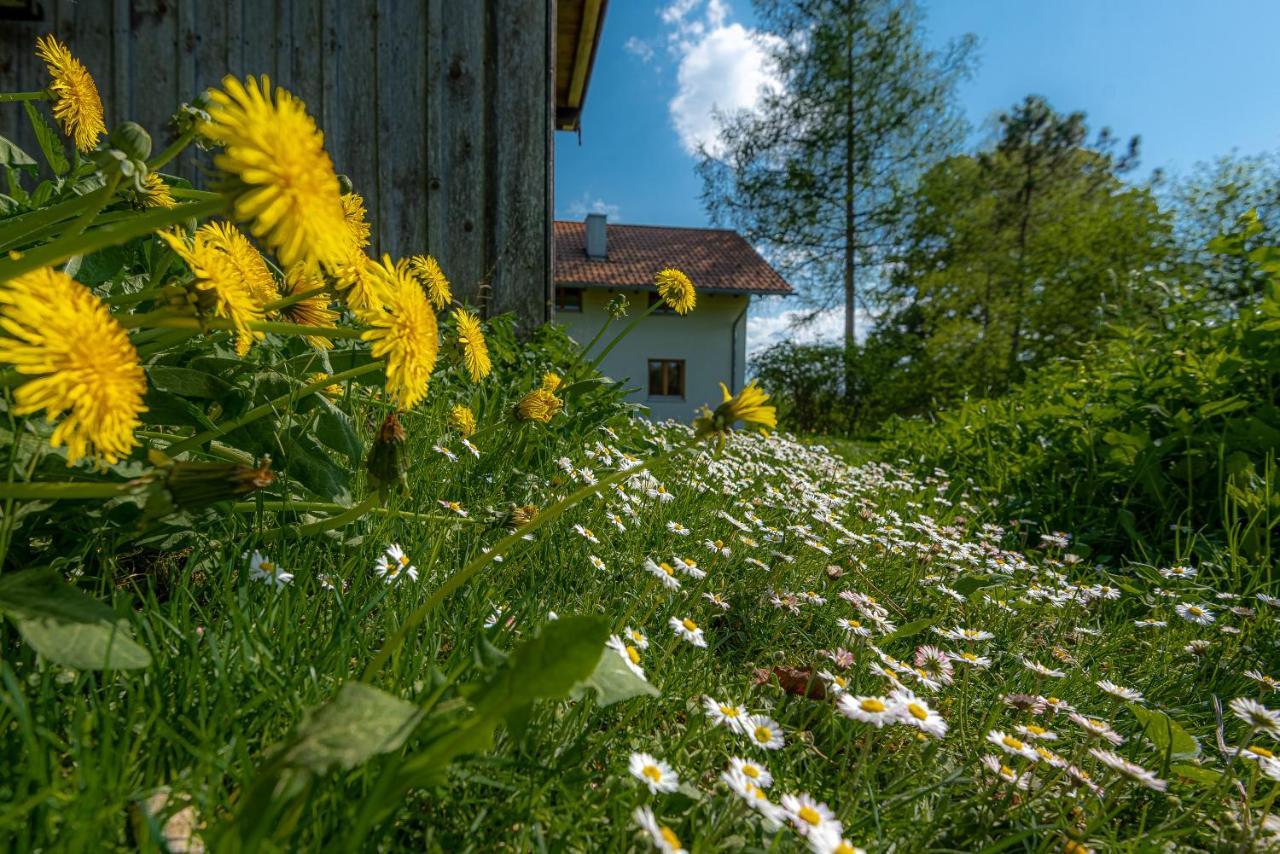Ferienhaus Schlierachtal Miesbach Exterior photo
